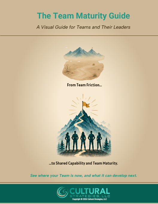 team maturity guide cover reduced